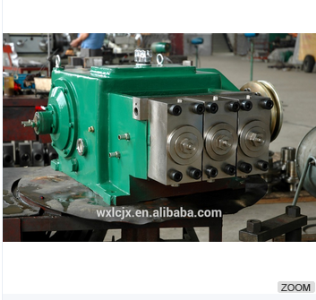 Triplex plunger Pump